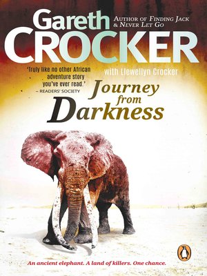 cover image of Journey from Darkness